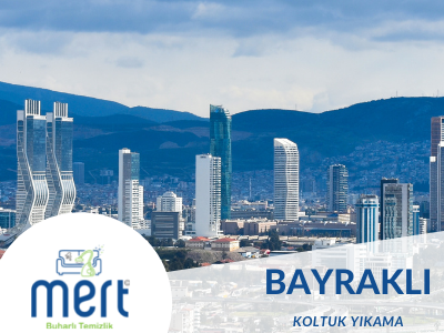 Bayraklı Koltuk Yıkama